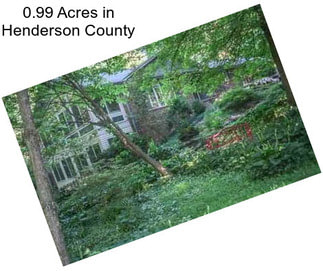 0.99 Acres in Henderson County