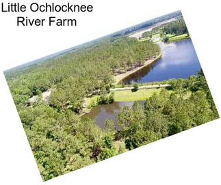 Little Ochlocknee River Farm