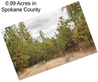 0.99 Acres in Spokane County