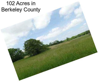 102 Acres in Berkeley County