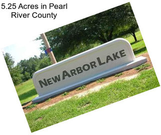 5.25 Acres in Pearl River County