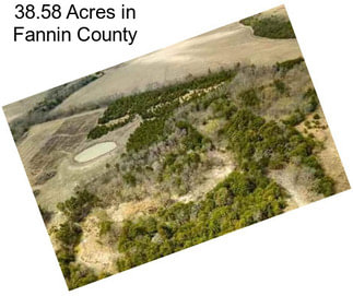 38.58 Acres in Fannin County