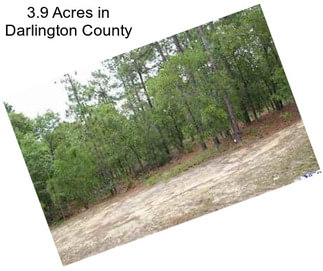 3.9 Acres in Darlington County