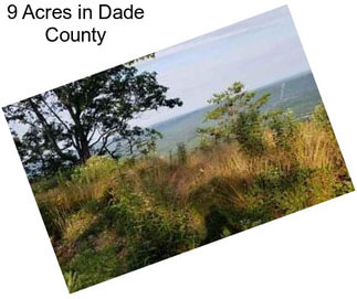 9 Acres in Dade County