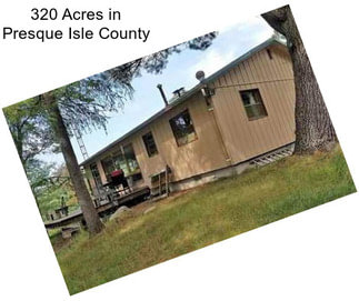 320 Acres in Presque Isle County