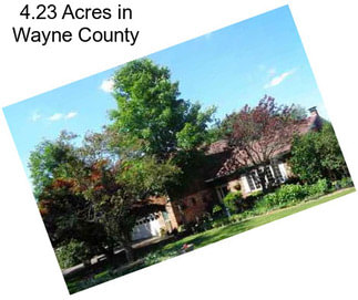 4.23 Acres in Wayne County