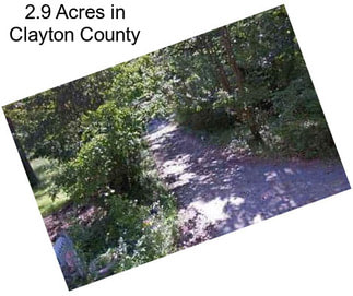 2.9 Acres in Clayton County