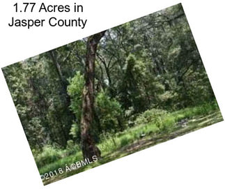 1.77 Acres in Jasper County