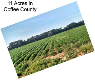 11 Acres in Coffee County