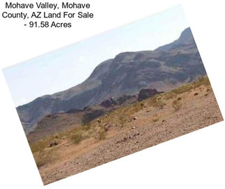 Mohave Valley, Mohave County, AZ Land For Sale - 91.58 Acres