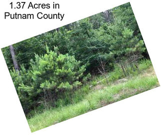 1.37 Acres in Putnam County