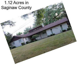 1.12 Acres in Saginaw County