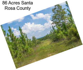 86 Acres Santa Rosa County