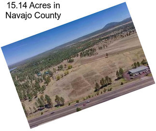 15.14 Acres in Navajo County