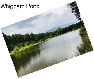Whigham Pond