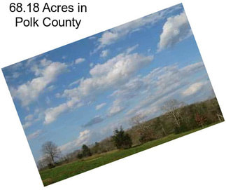 68.18 Acres in Polk County