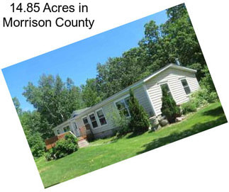 14.85 Acres in Morrison County