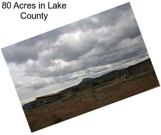 80 Acres in Lake County