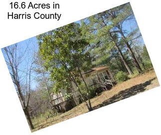 16.6 Acres in Harris County