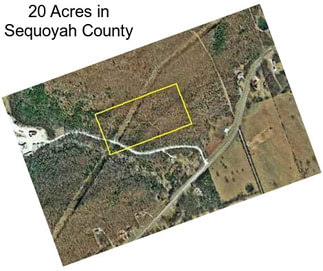 20 Acres in Sequoyah County