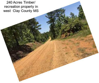 240 Acres Timber/ recreation property in west  Clay County MS