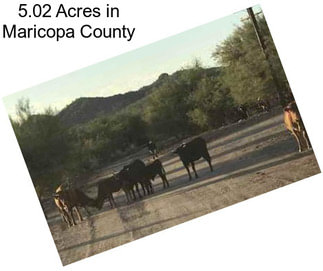 5.02 Acres in Maricopa County