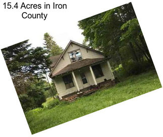 15.4 Acres in Iron County