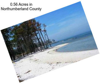 0.56 Acres in Northumberland County