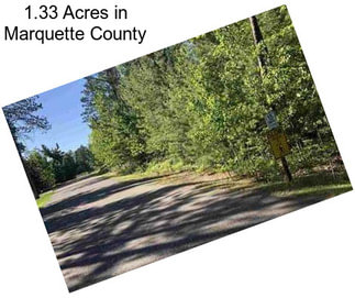 1.33 Acres in Marquette County