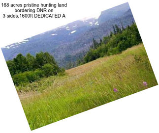 168 acres pristine hunting land bordering DNR on 3 sides,1600ft DEDICATED A