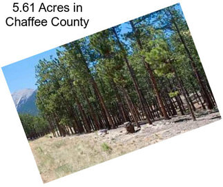 5.61 Acres in Chaffee County