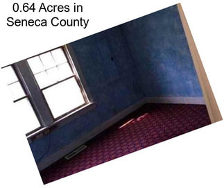 0.64 Acres in Seneca County