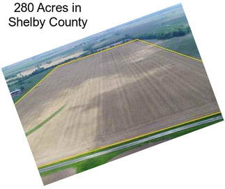 280 Acres in Shelby County