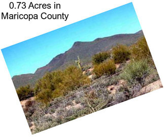 0.73 Acres in Maricopa County