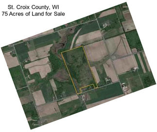 St. Croix County, WI 75 Acres of Land for Sale