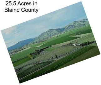 25.5 Acres in Blaine County