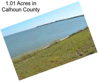 1.01 Acres in Calhoun County