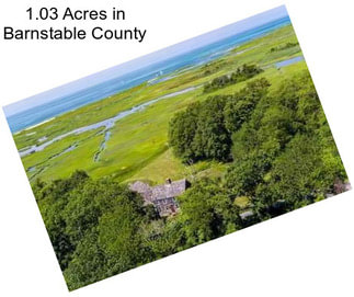 1.03 Acres in Barnstable County