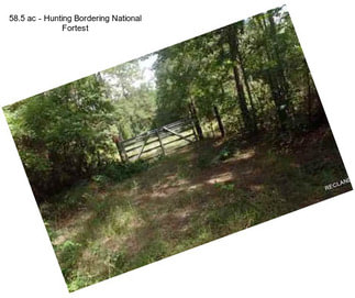 58.5 ac - Hunting Bordering National Fortest