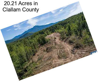 20.21 Acres in Clallam County