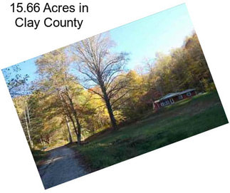 15.66 Acres in Clay County