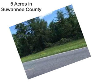 5 Acres in Suwannee County