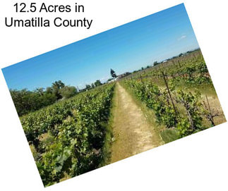 12.5 Acres in Umatilla County