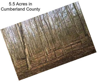 5.5 Acres in Cumberland County