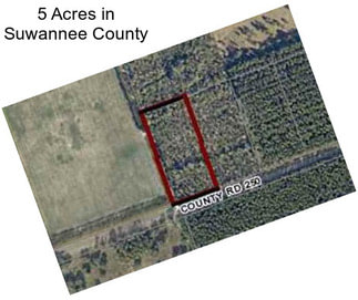 5 Acres in Suwannee County