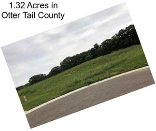 1.32 Acres in Otter Tail County