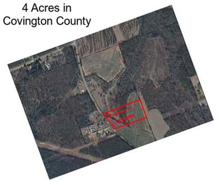 4 Acres in Covington County