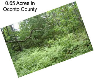0.65 Acres in Oconto County