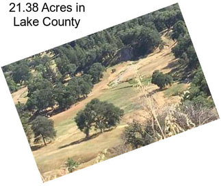 21.38 Acres in Lake County