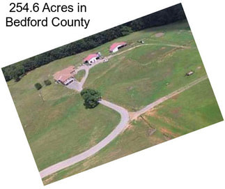 254.6 Acres in Bedford County